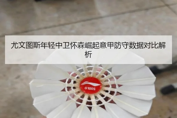 尤文图斯年轻中卫怀森崛起意甲防守数据对比解析